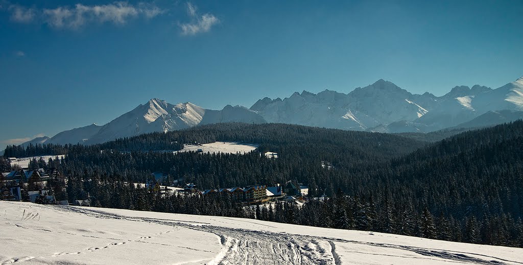 Bukowina Tatrzańska -panorama na Tatry by tadeusz dziedzina©