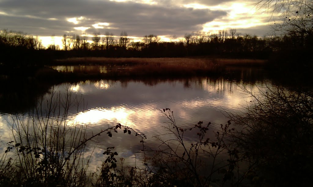 Lee Valley Regional Park by TerryHD2