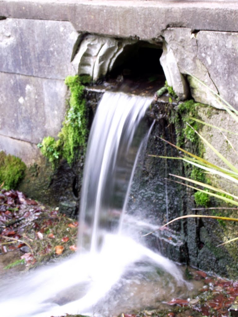 Water feature at Bicton Park,Devon by Andrew Johnson