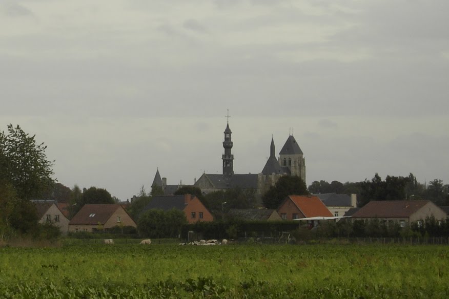 Zoutleeuw - Sint-Leonarduskerk by defa1967