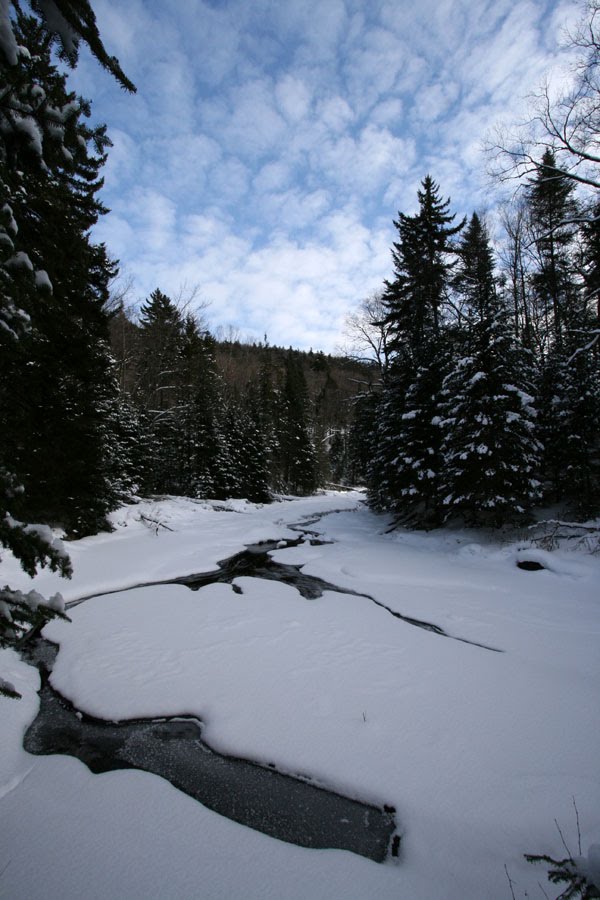 Parc du Mont-Tremblant by metallyza