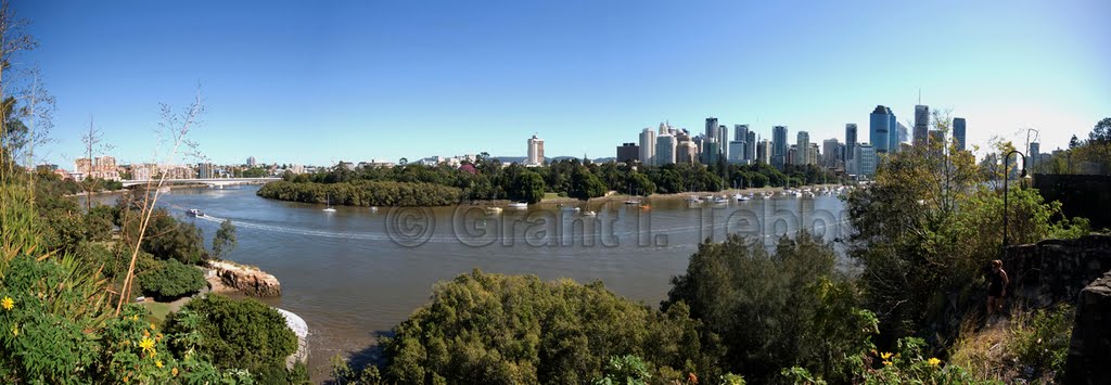 Brisbane Botanical GArdens and city from River Terrace by Grant I. Tebbutt