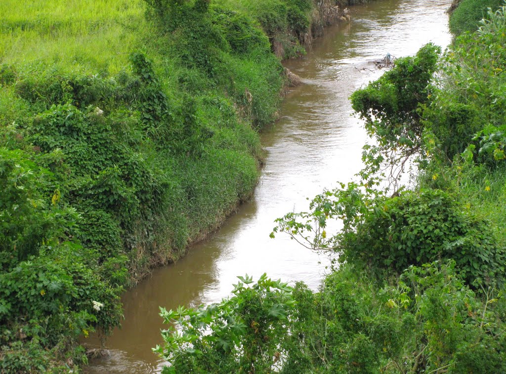 Rio Embu-Mirim, R.M. São Paulo, SP, Brasil. by André Bonacin