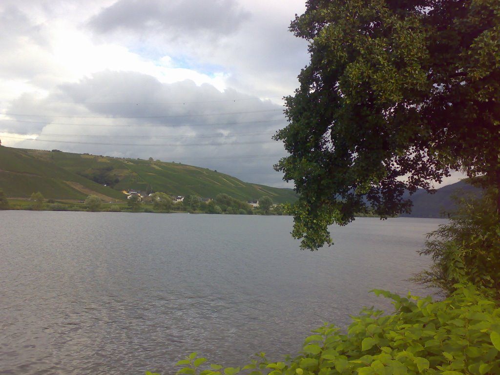 Mosel by SMN