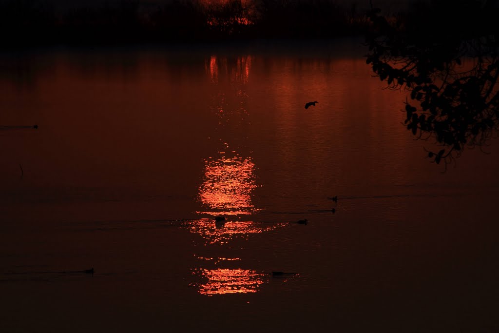 Lagoa de Santo André by Silvanna & Rui