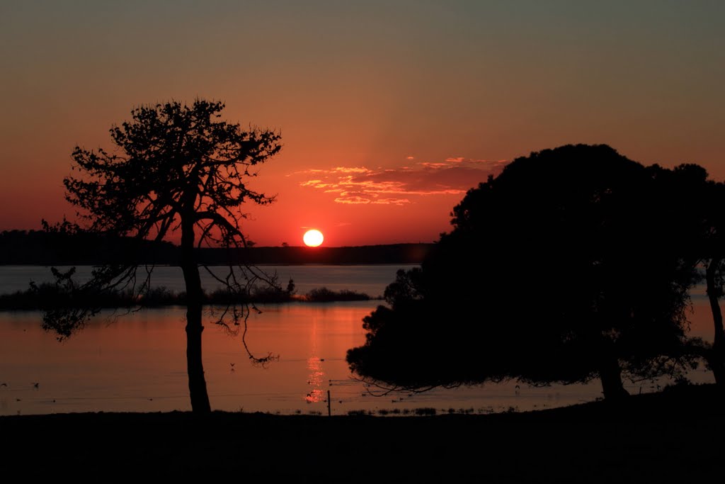 Lagoa de Santo André by Silvanna & Rui