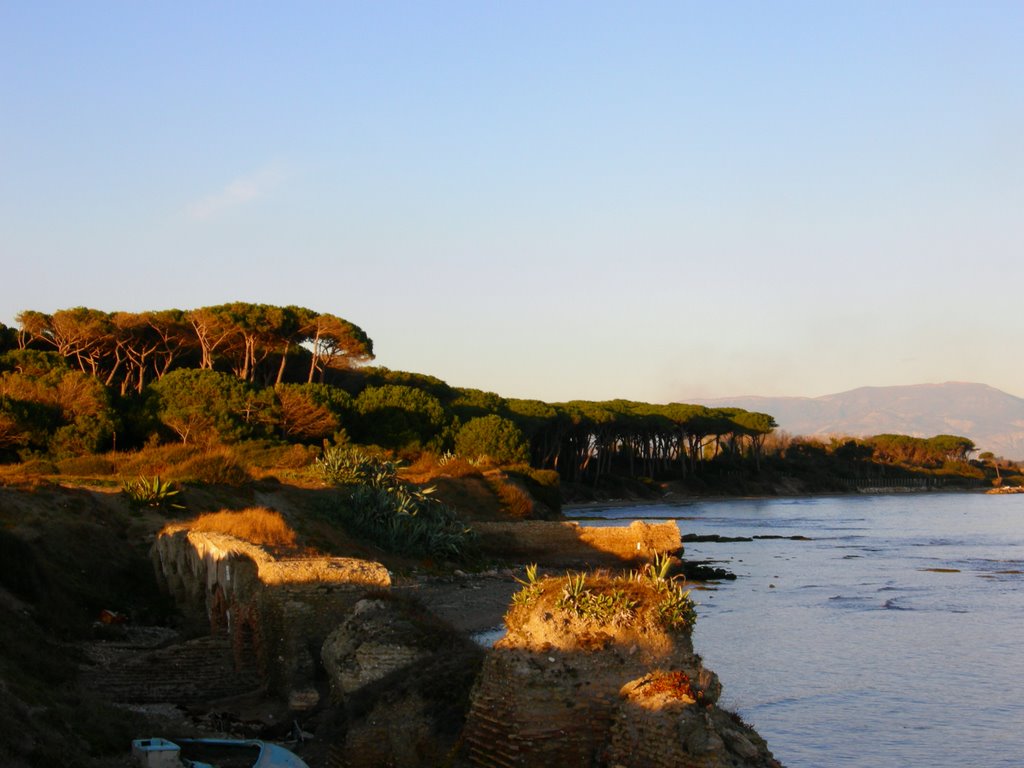 Pineta di Torre Astura by Massimiliano1970