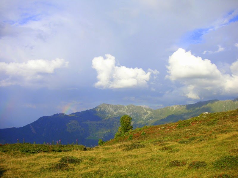 Riddes, Switzerland by Catherine Hulda Koch