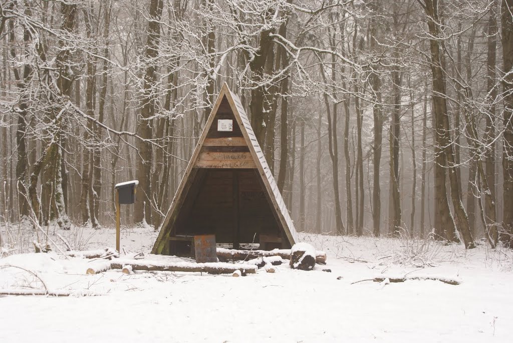 Schutzhütte am Poppenbergturm (Harz) by Atheistin