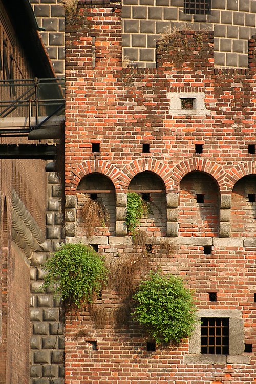 Castello Sforzesco, Milano by Timofey Tararin