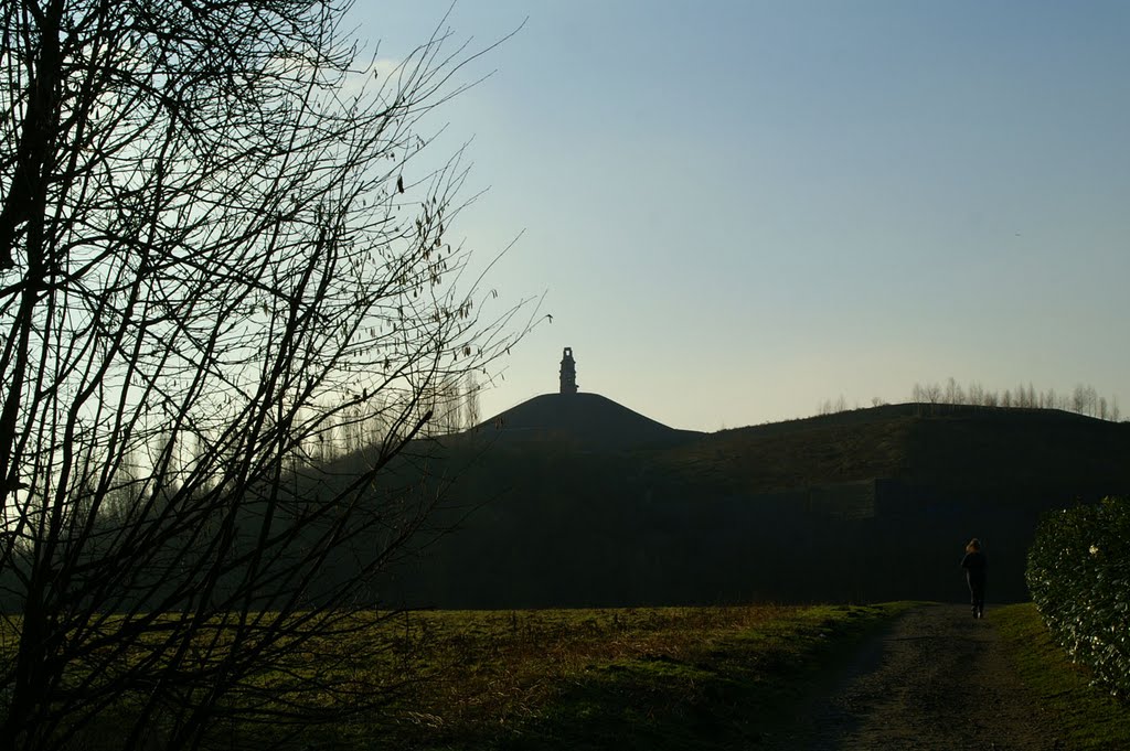 Blick auf die Himmelsleiter, von der Lohrheide aus by Inga Schreiber