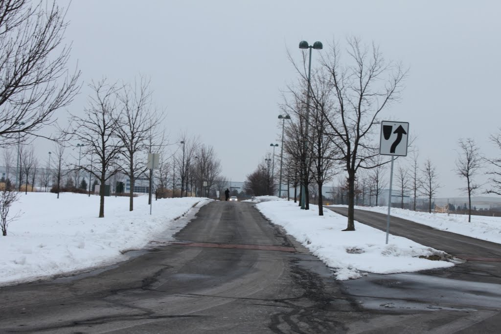 Entrance To Veterans Park by keithyearman