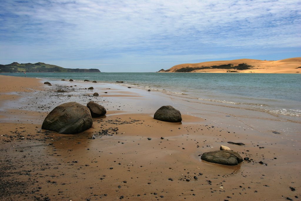 Hokianga Harbour by Vladimir Minakov