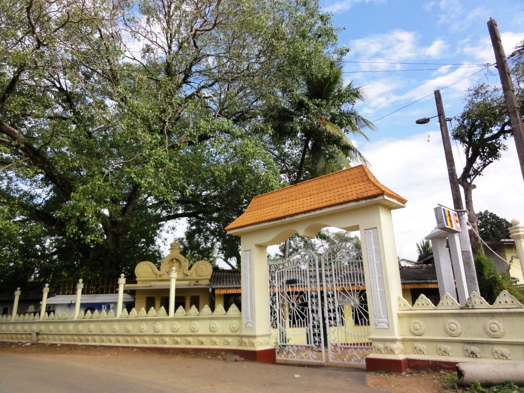 Katukurunduwatta, Dehiwala-Mount Lavinia, Sri Lanka by Senanayaka Bandara