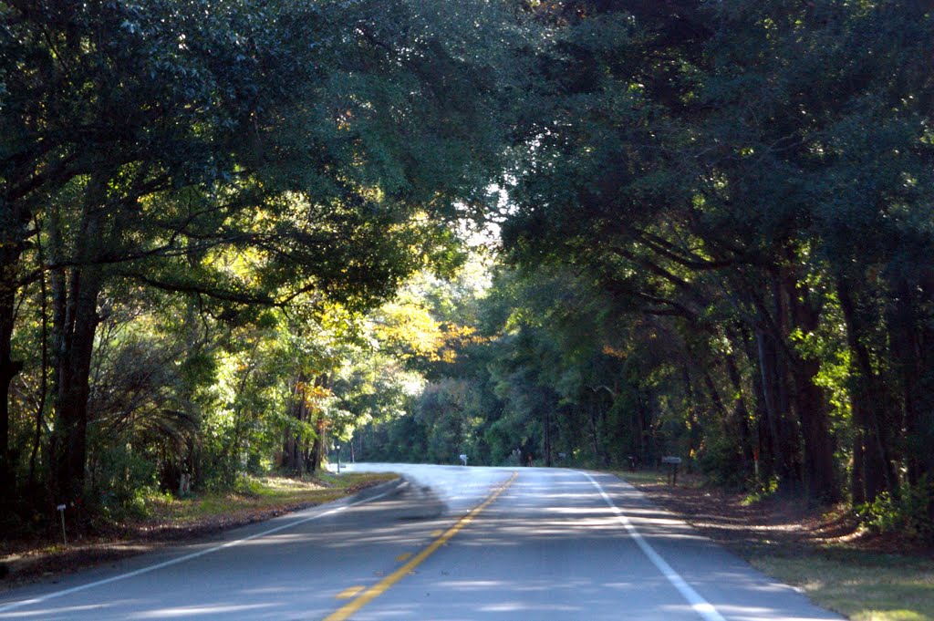 2010 High Springs-Alachua, FL, USA - along SR 27 by Qwilleran