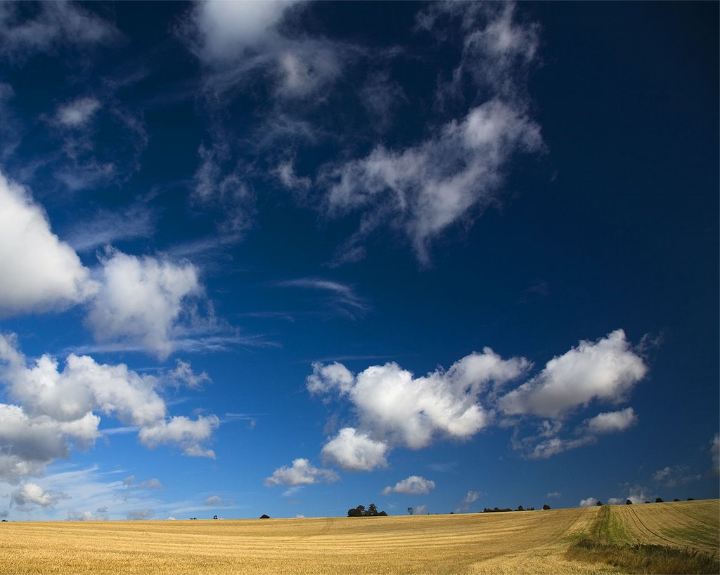 The Chiltern Way near East Hyde by ste>e