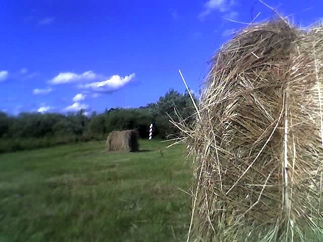 Łąka nad Bugiem | The meadow closed to Bug by paweł páll ævar