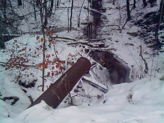 Las zimą. Forest in winter by tomi3215