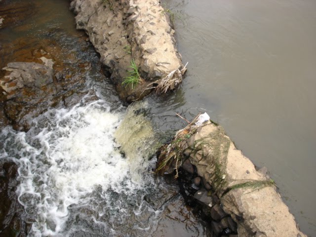 Rio Piracicaba by Moe de Jong