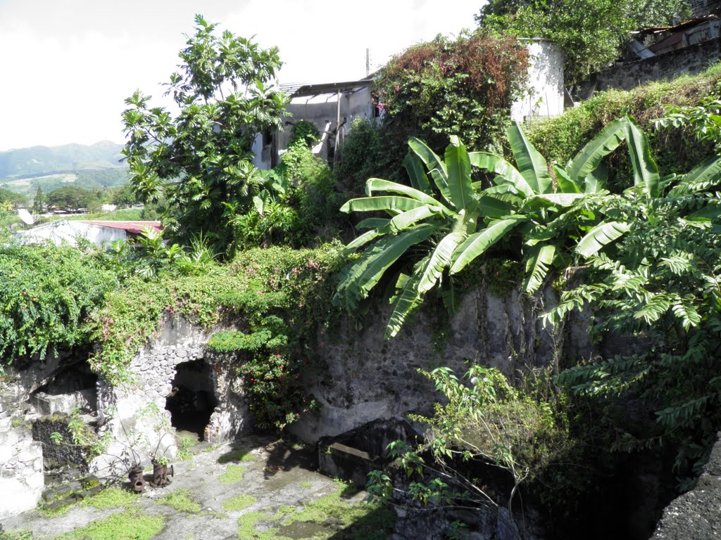 Arrondissement of Saint-Pierre, Martinique by schacke