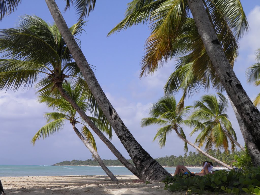 Sainte-Anne, Martinique by schacke