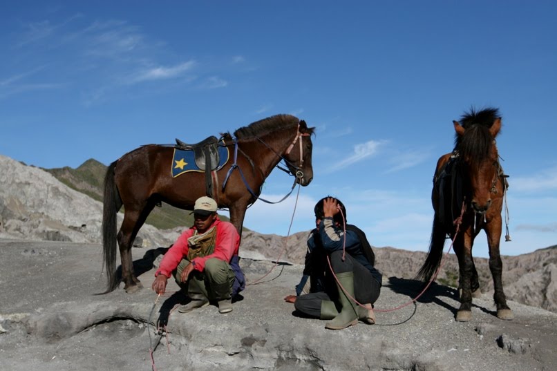 Jawa, Mt. Bromo - horses by Adam Karolak