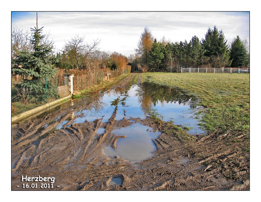 Herzberg - 16.01.2011 by Fotoreporter