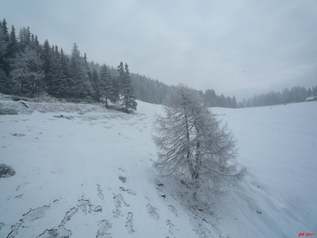 Panorama innevato by GabrieleB.77