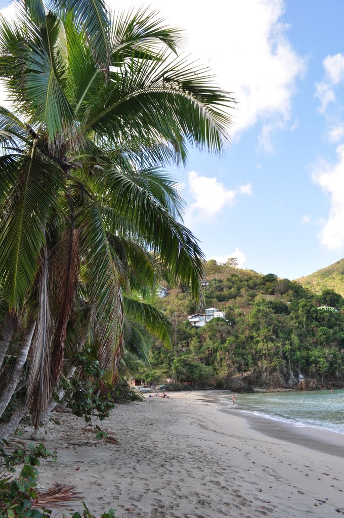 Am Strand von Brewers Bay, Tortola by Michael R. aus Ogger…