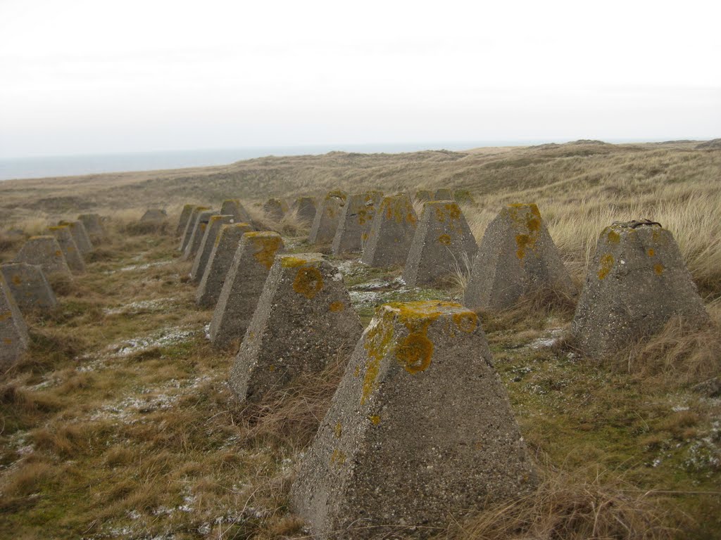 Drakentanden 2e wo (Höckerlinie, atlantikwall) by Eddy