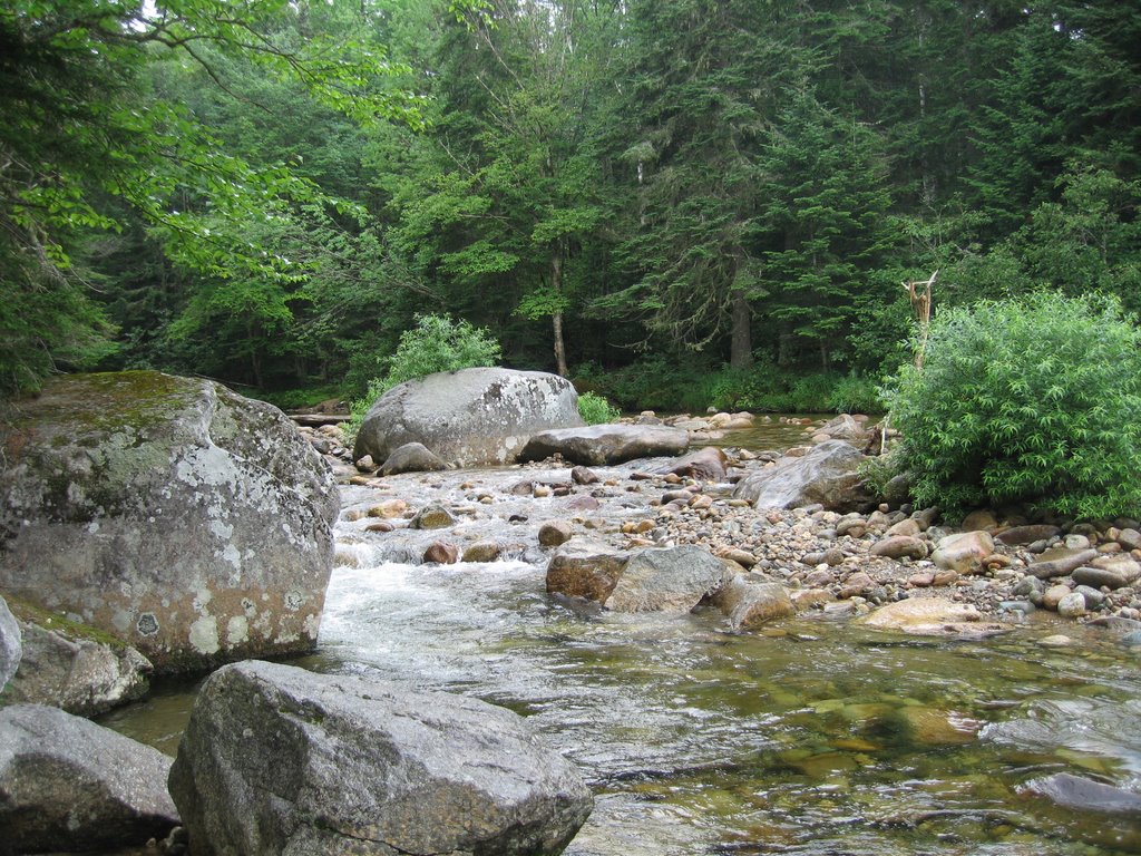 New Hampshire impressions - on our way to 'Mt. Washington' by fun-tast