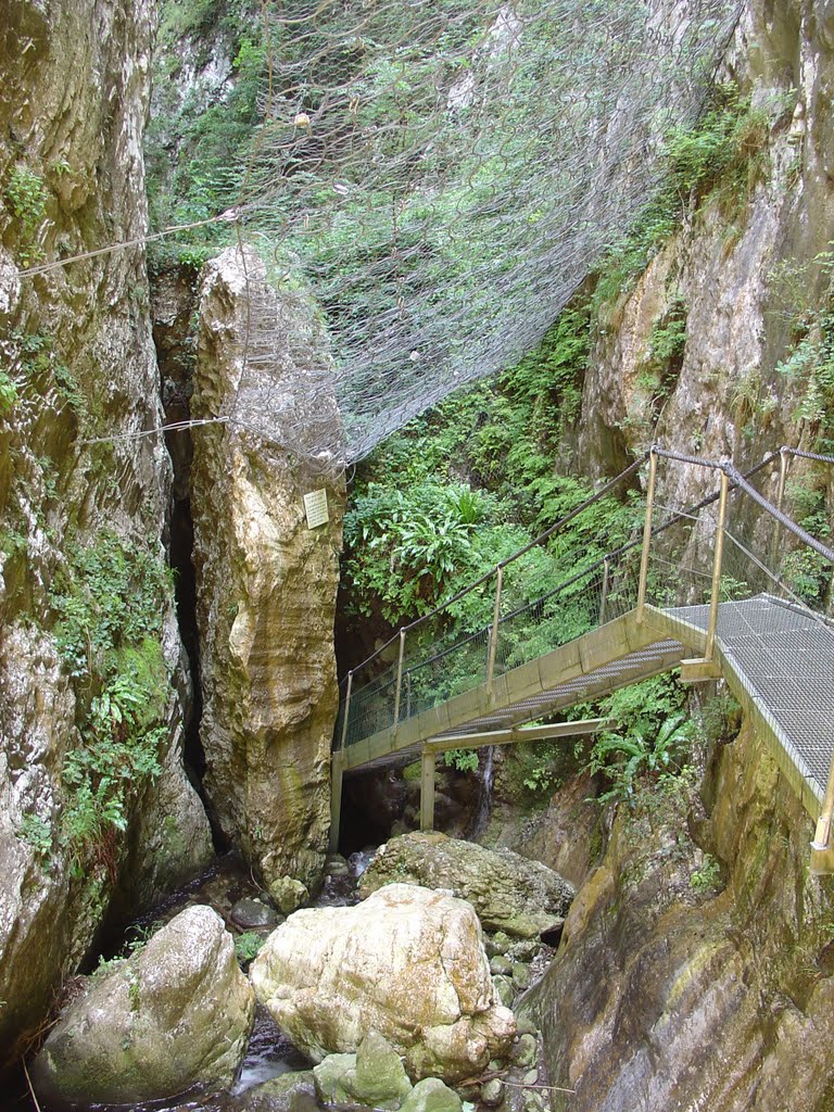 Frankreich_Languedoc-Roussillon_Gorges de la Fou by Elmokula