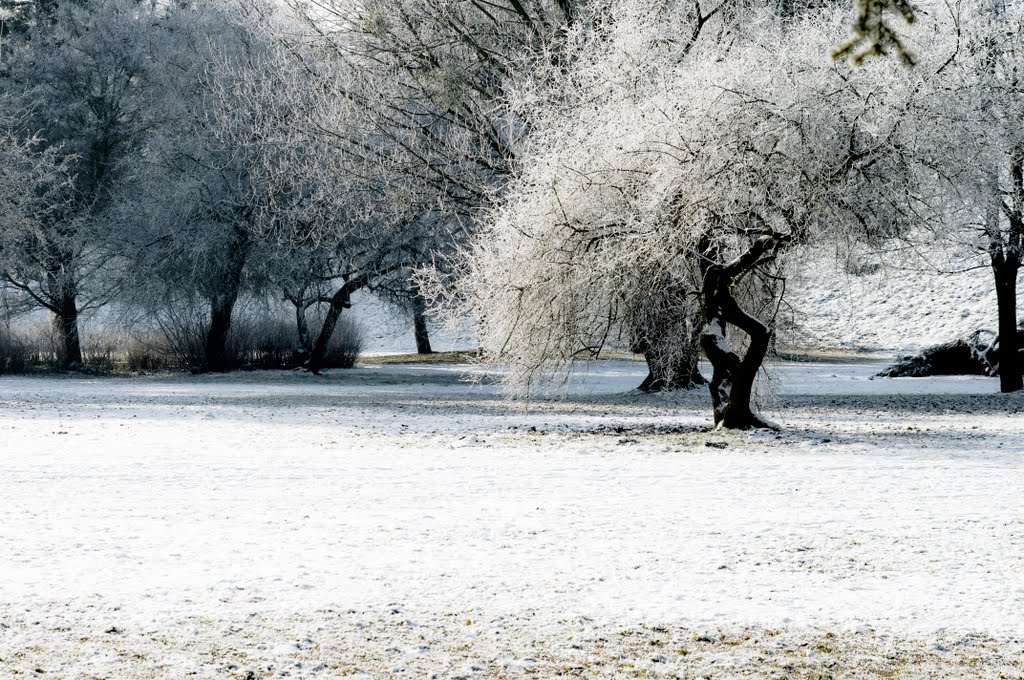 Park na Grabiszynie by Vonpaulus78