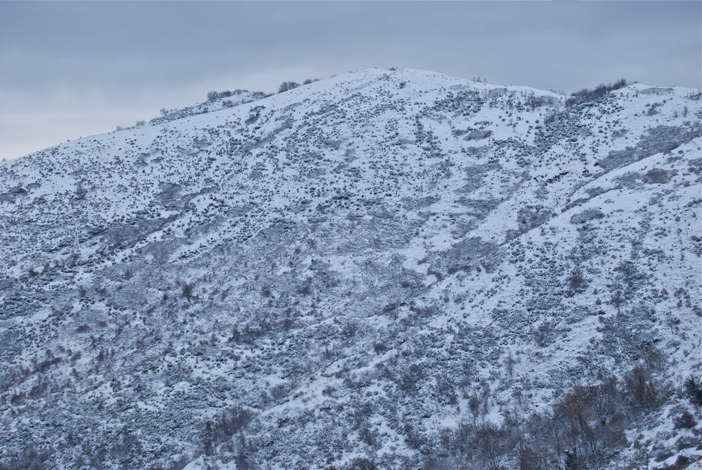 Camminando lungo la panoramica con la neve 15 by Roberto Zanleone