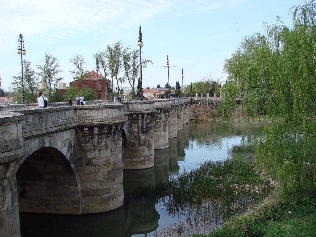 Puente Mayor sobre el rio Carrión. by Ernesto Lorenzo