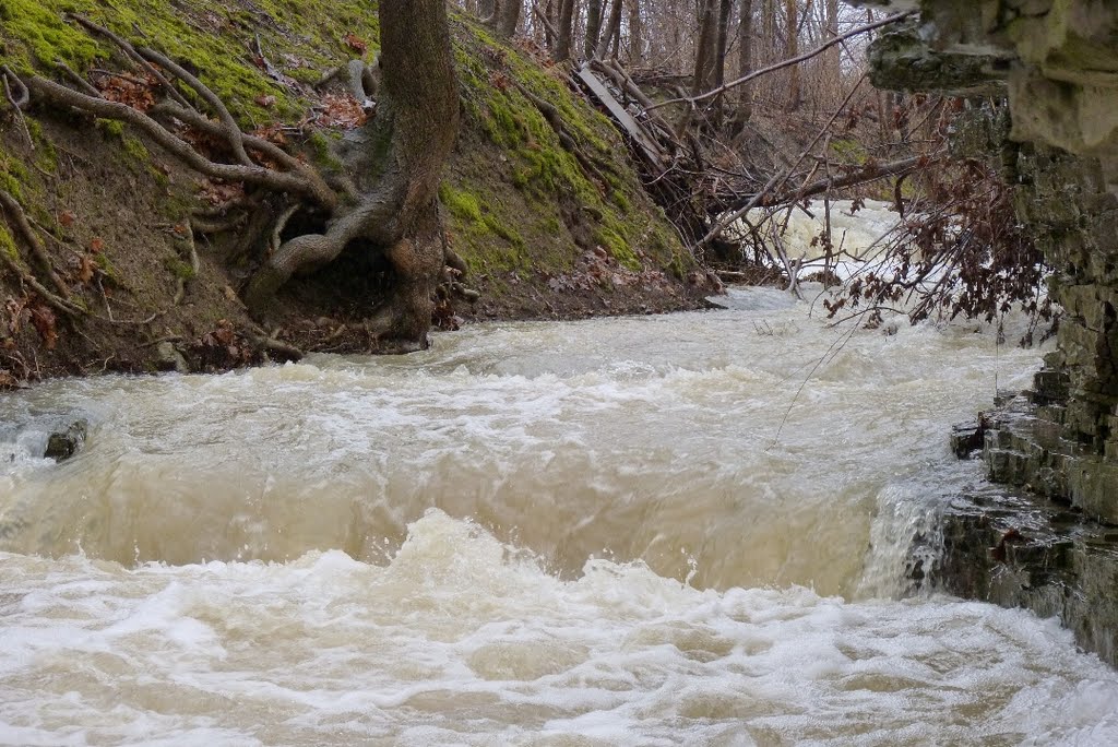 Hannon Cascade at full flow in Glanbrook section of Hamilton by Joseph Hollick