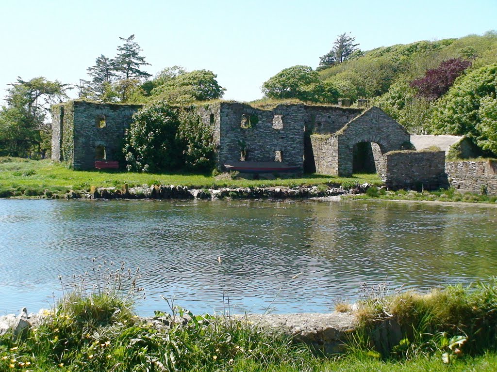 The Ruins at Ring from the Bridge by Elaine Fleischmann