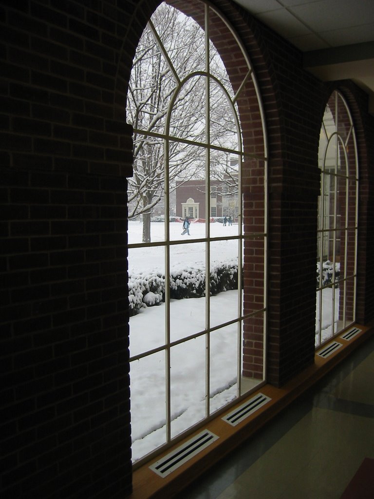 Inside Coleman Hall looking out by mlanewal