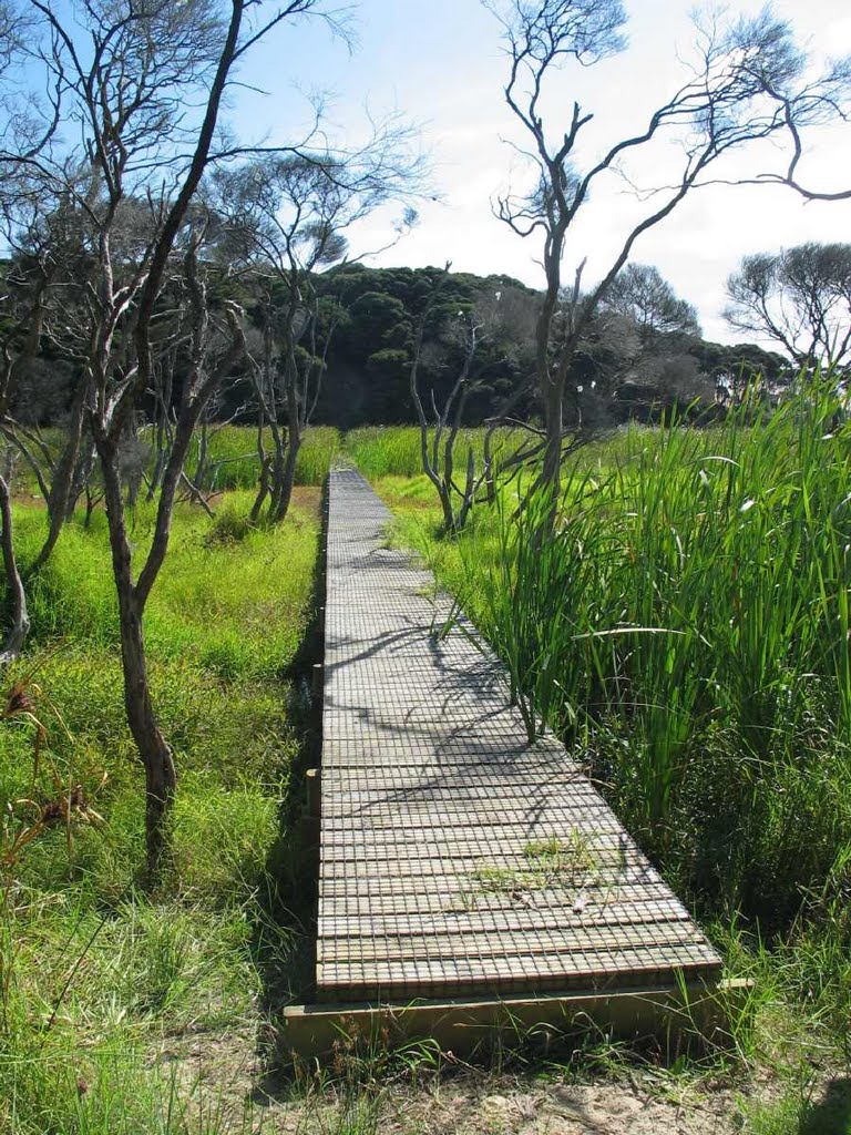 Bog boardwalk on Te Werahi track by NZ Frenzy Guidebook …