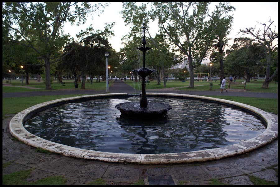 Pond in De Waal Park by Nico Fourie