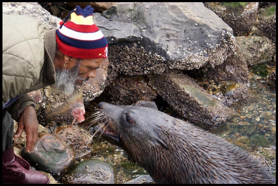 Fisherman and Cape Fur Seal by Nico Fourie