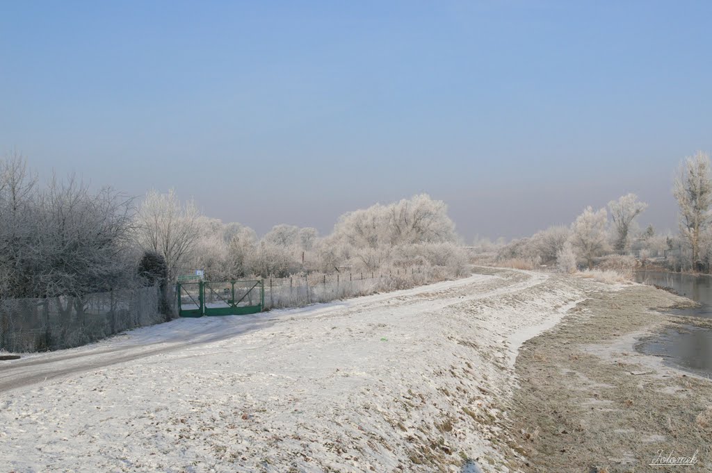 Wzdłuż działek przy Widawie by Fotomek