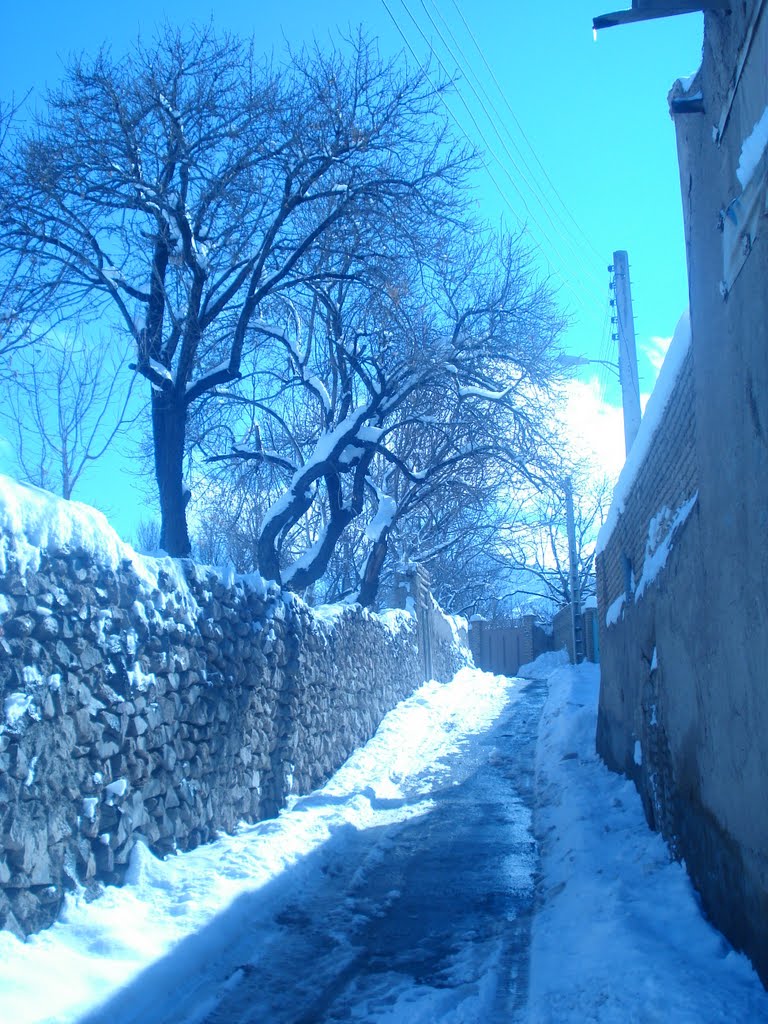 Winter in Qamsar, Iran by Shayan Amirirad