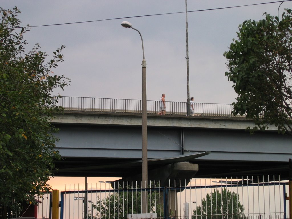 Wiadukt (ul.Gdańska) nad ul.Kolejową i torami kolejowymi-widok z dołu by tmazurowski