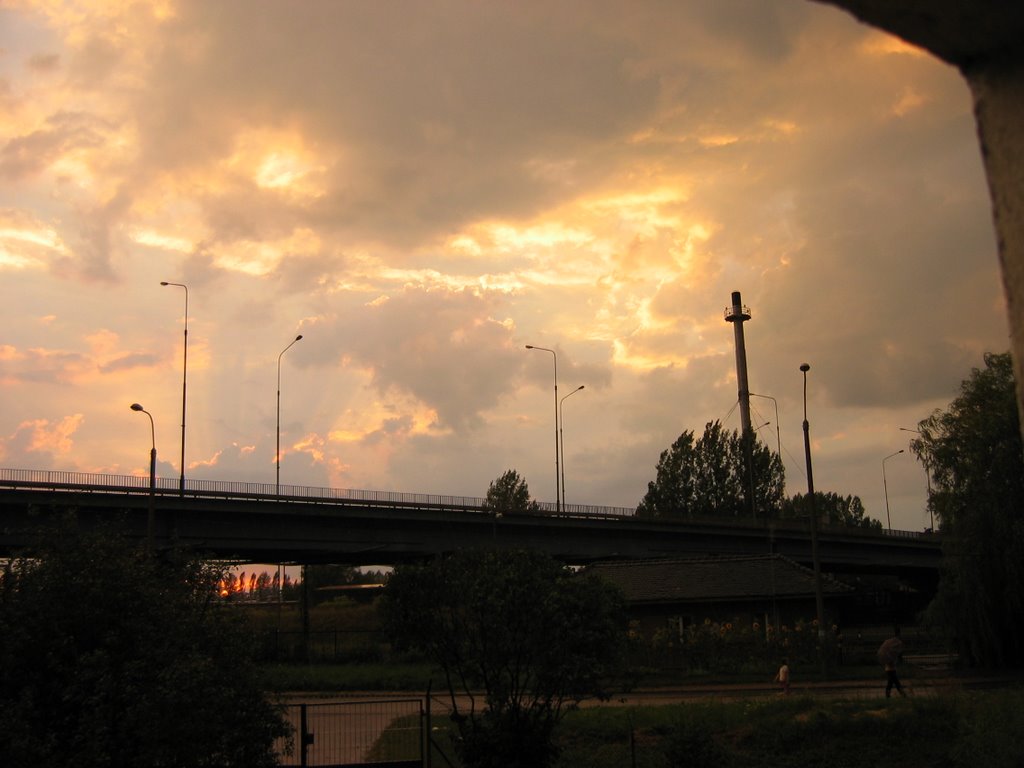 Wiadukt (ul.Gdańska) nad ul.Kolejową i torami kolejowymi-widok z dołu by tmazurowski