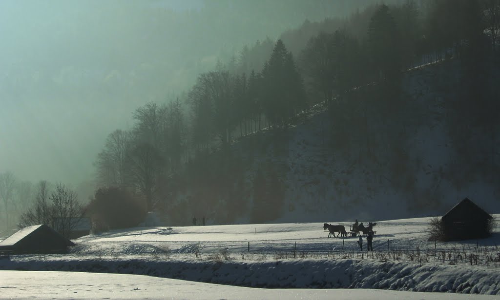 Sleigh ride in the fields of Garmisch. by sh999