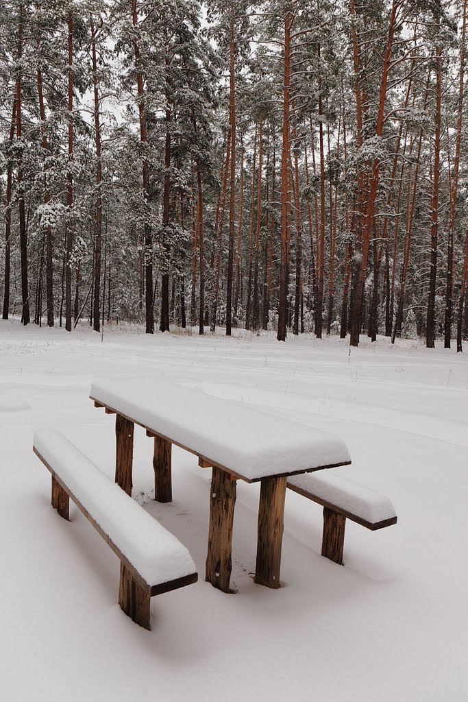 Столик со скамейками. Table with benches. by Mykhailo Krasnopolsk…