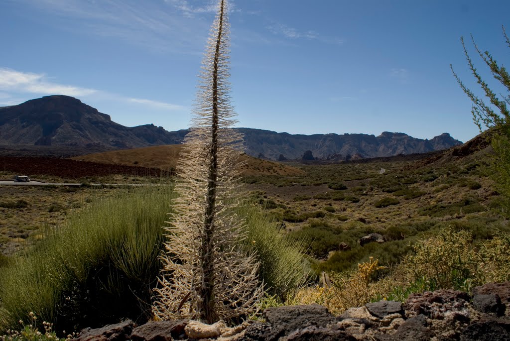 Tenerife by Andrey_Aero