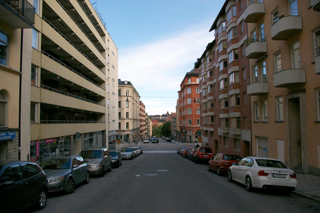 Parkgatan / Inedalsgatan by ehrencrona