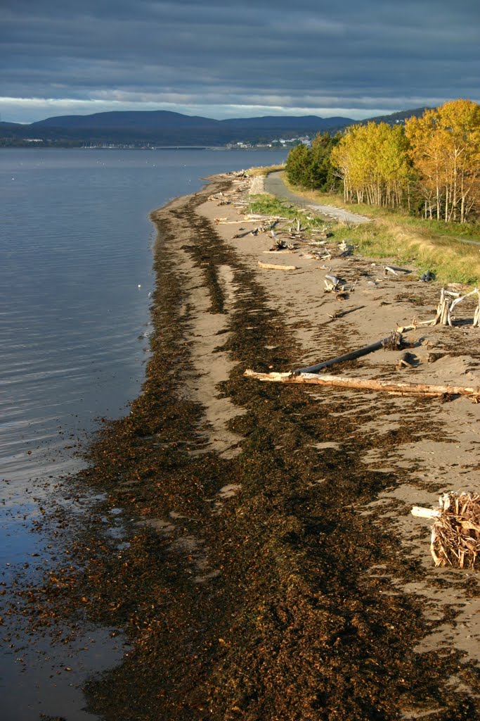 Promenade au à bord de Gaspé Harbour by iceman_67fr